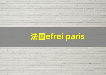 法国efrei paris